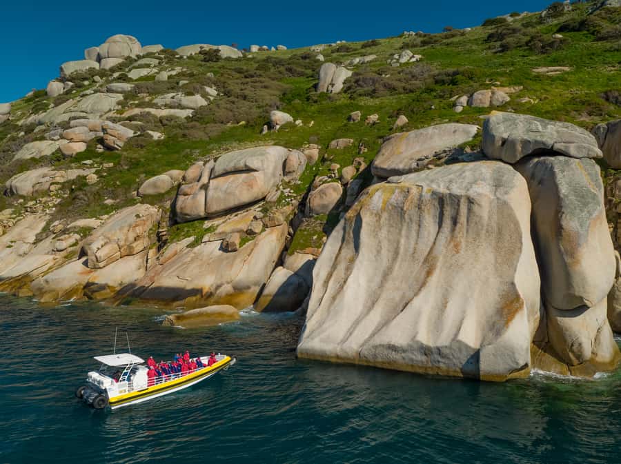 Wilsons Promontory: Afternoon Wilderness Cruise - The amphibious boat and what the ride feels like