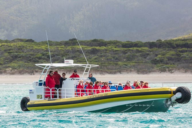 Wilsons Promontory Wilderness Cruise from Tidal River - Is $118.35 good value?