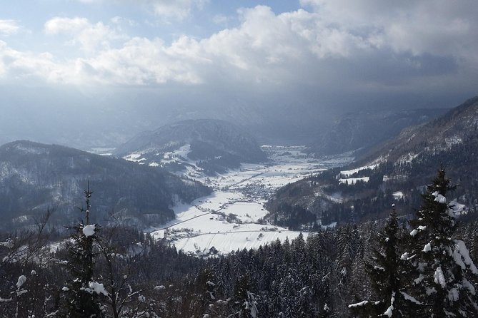 Winter Fairytale - Triglav National Park Half Day Trip - What the price really includes