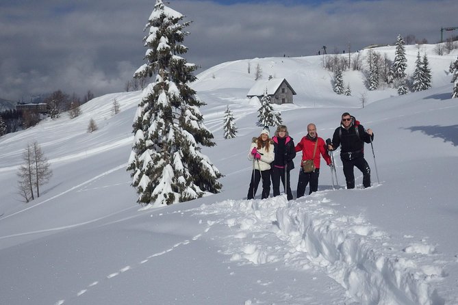 Winter Fairytale - Triglav National Park Half Day Trip - Who should book this experience
