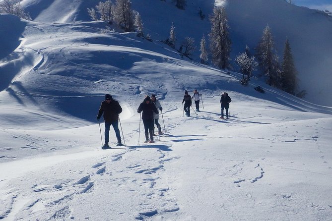 Winter Fairytale - Triglav National Park Half Day Trip - Savica Waterfall and the €3 entrance fee