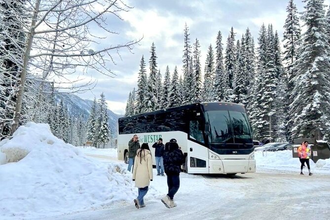 Winter Trip: Lake Louise, Marble Canyon, Emerald Lake, Banff - Lake Louise in winter, with one hour to look around