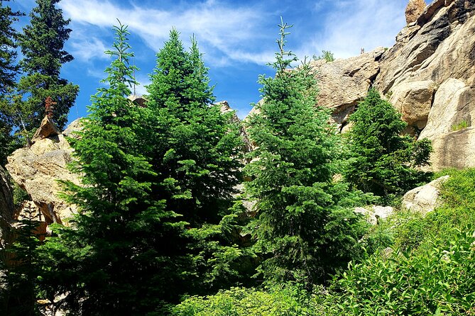 Women's Hike to Ouzel Falls in Rocky Mountain National Park - The downhill return requires attention