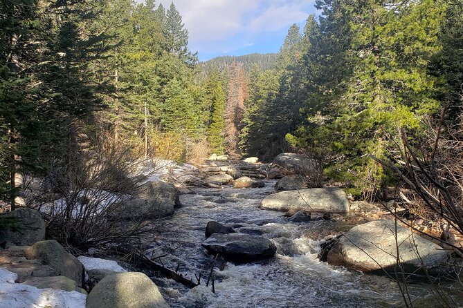 Women's Hike to Ouzel Falls in Rocky Mountain National Park - Climbing through forest and along the stream