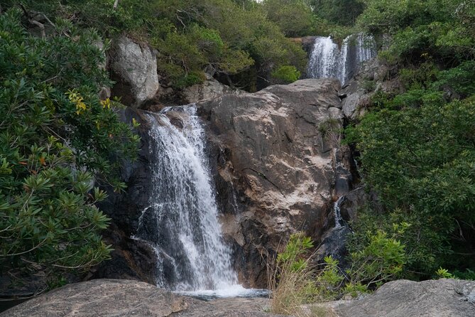 Wonders of Nui Chua National Park - Day Trek in Vinh Hy Bay - Why this Nui Chua route is worth your day