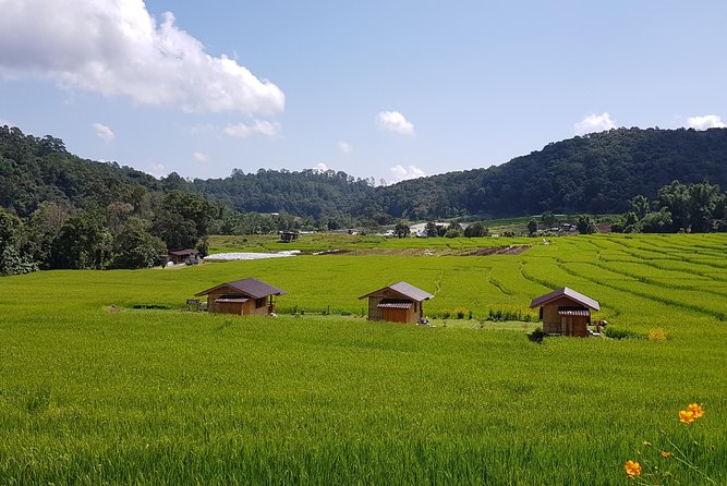 Wow! Doi Inthanon National Park Adventure, Lunch & Entry Included - The twin pagodas above the clouds