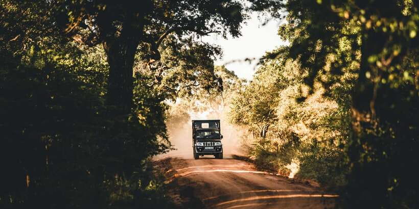 Yala: Morning or Afternoon All-inclusive Private Safari - The customized jeep and private-group setup