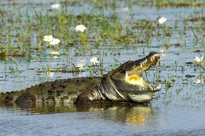 Yala National Park Full-Day Jeep Safari with Lunch - Arriving at Yala National Park