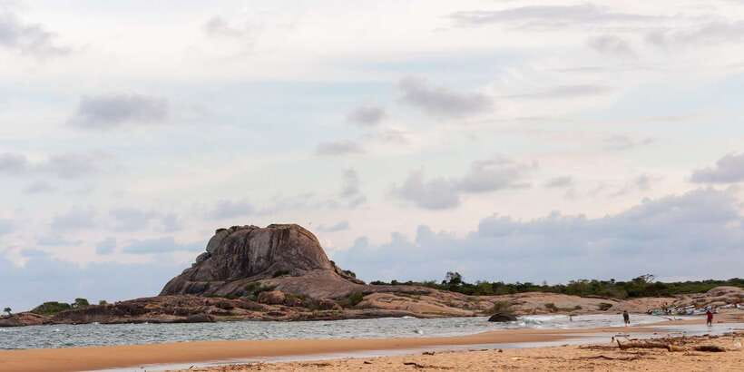 Yala National Park: Half, 7-Hour, or Full-Day Safari & Meals - Picking between a half-day, seven-hour, and full-day safari