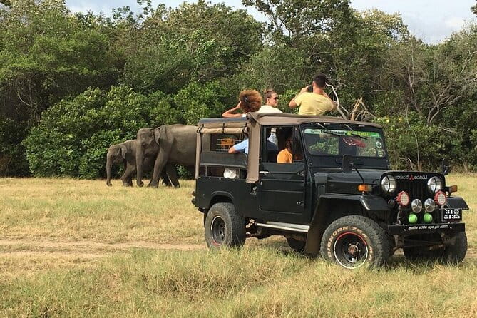 Yala National Park Private Jeep Safari From Colombo & Negombo - Safety and vehicle questions to ask