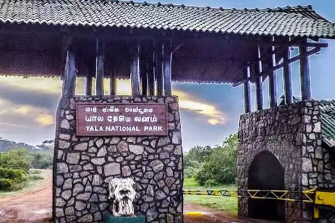 Yala National Park Private Jeep Safari From Colombo & Negombo - Who should book this Yala day trip?