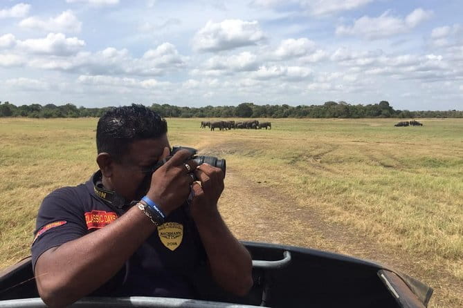 Yala National Park Private Jeep Safari From Colombo & Negombo - FAQ