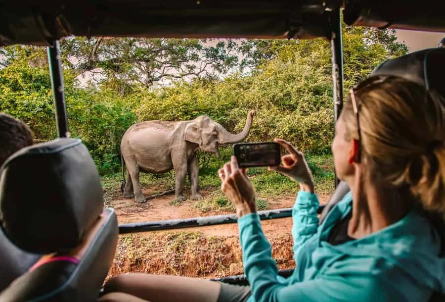 YALA National Park Safari Tour : Half day or Full day Tour - At the main entrance, the safari begins