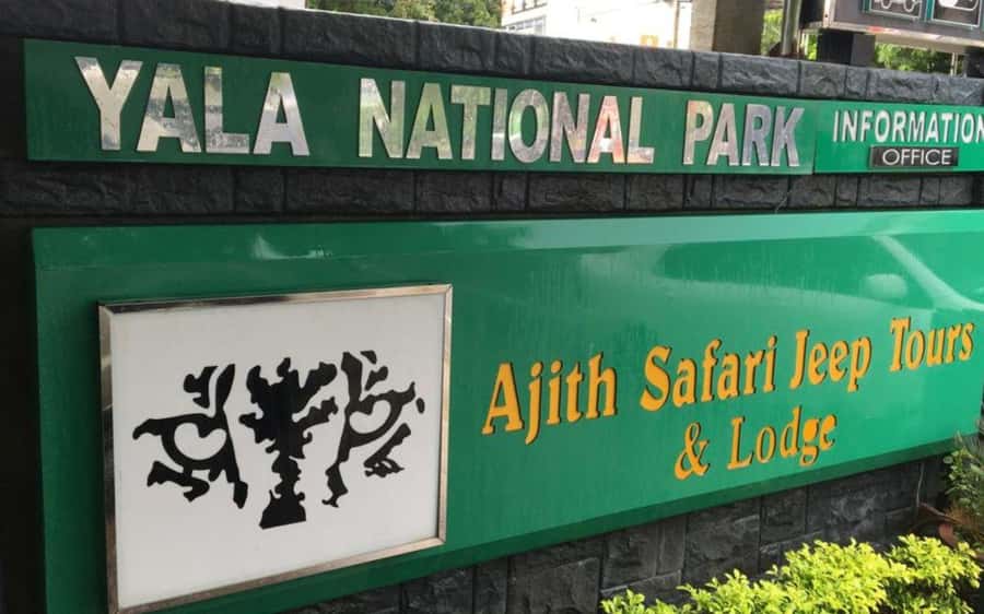 YALA National Park Safari Tour : Half day or Full day Tour - Patanangala gives you a useful break