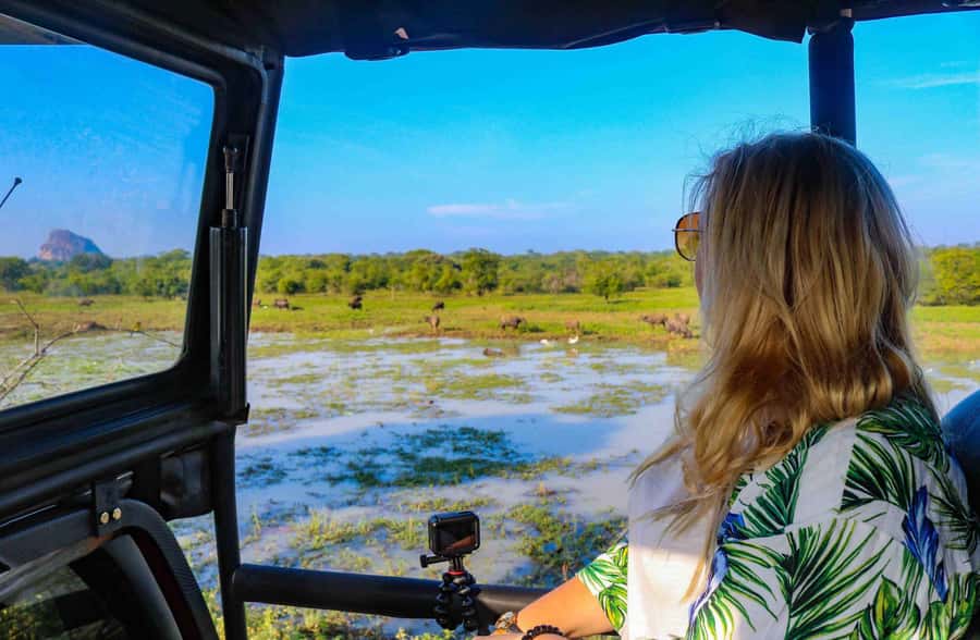 YALA National Park Safari Tour : Half day or Full day Tour - Lunch and the long-day question