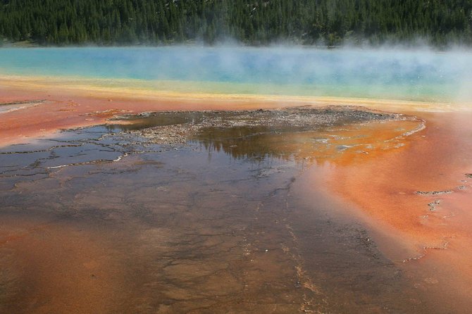 Yellowstone National Park - Full-Day Lower Loop Tour from Jackson - Hayden Valley and the Search for Wildlife
