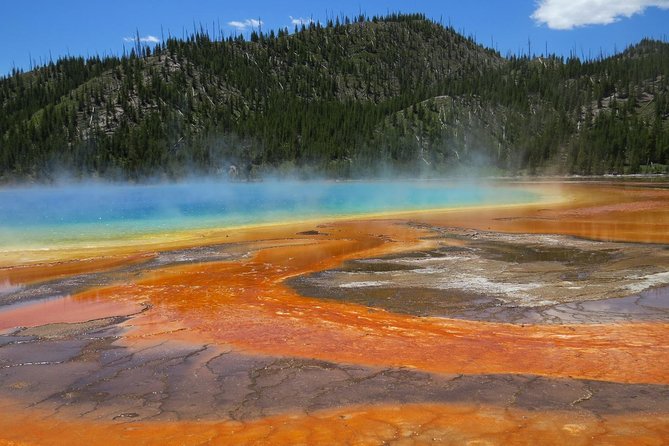 Yellowstone National Park - Full-Day Lower Loop Tour from West Yellowstone - Hayden Valley wildlife watching