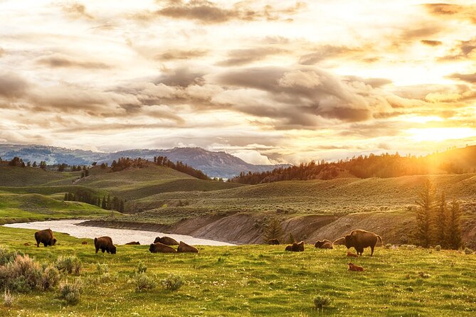 Yellowstone National Park Tour from Jackson Hole - The early ride through Grand Teton National Park