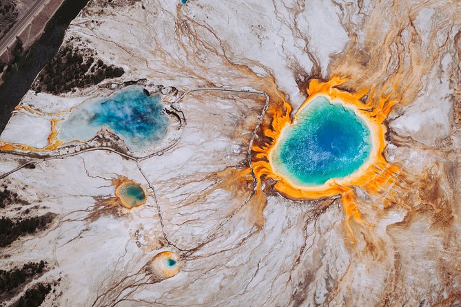 Yellowstone National Park Tour from Jackson Hole - Hayden Valley is the wildlife section