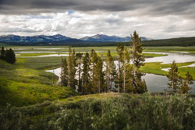 Yellowstone National Park Tour from Jackson Hole - Guide quality can make or break the day