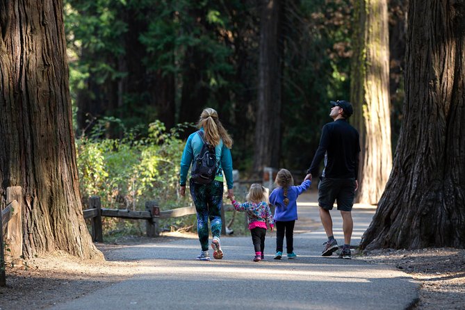 Yosemite Highlights & Giant Sequoias Day Tour from San Francisco - The pre-dawn pickup and road to Yosemite