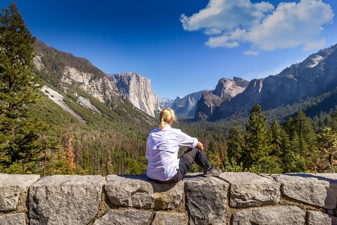 Yosemite Highlights & Giant Sequoias Day Tour from San Francisco - Valley View is the final Yosemite photograph