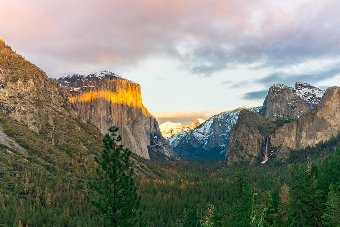 Yosemite National Park 2-Day Tour from San Francisco with Lodging - Tuolumne Grove and the giant sequoias