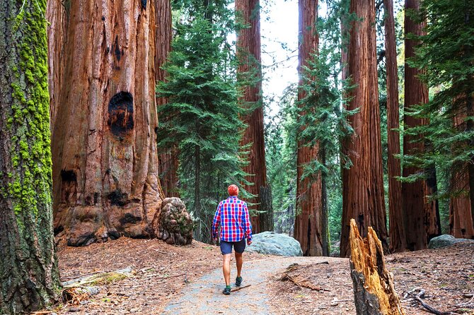 Yosemite National Park 2-Day Tour from San Francisco with Lodging - Glacier Point, when the road is open