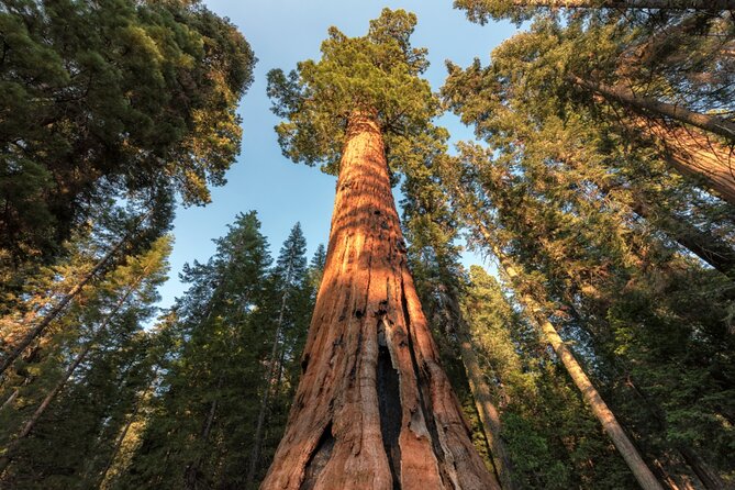 Yosemite National Park Self Guided Driving Audio Tour Guide - Yosemite Falls and Mirror Lake Trail