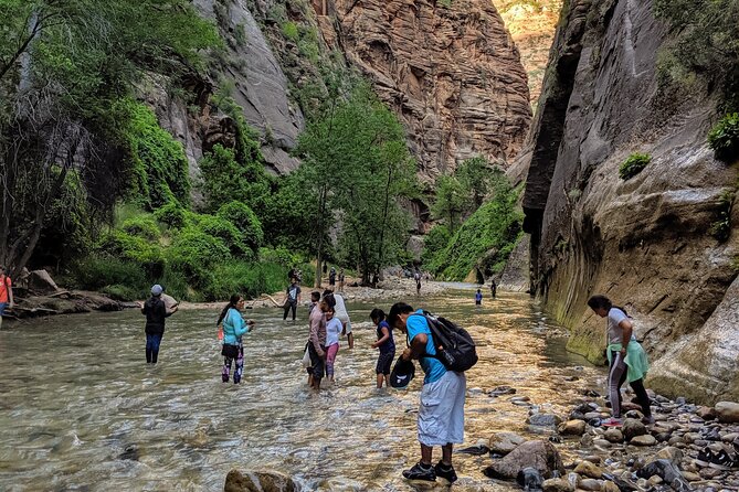 Zion National Park Small Group Tour from Las Vegas - The small van and the early departure